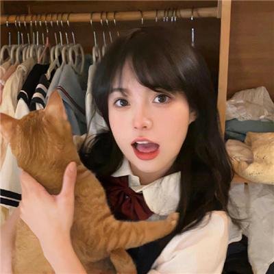 肥猫斗小强电影版