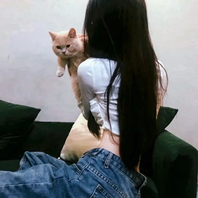 无敌少侠第三季
